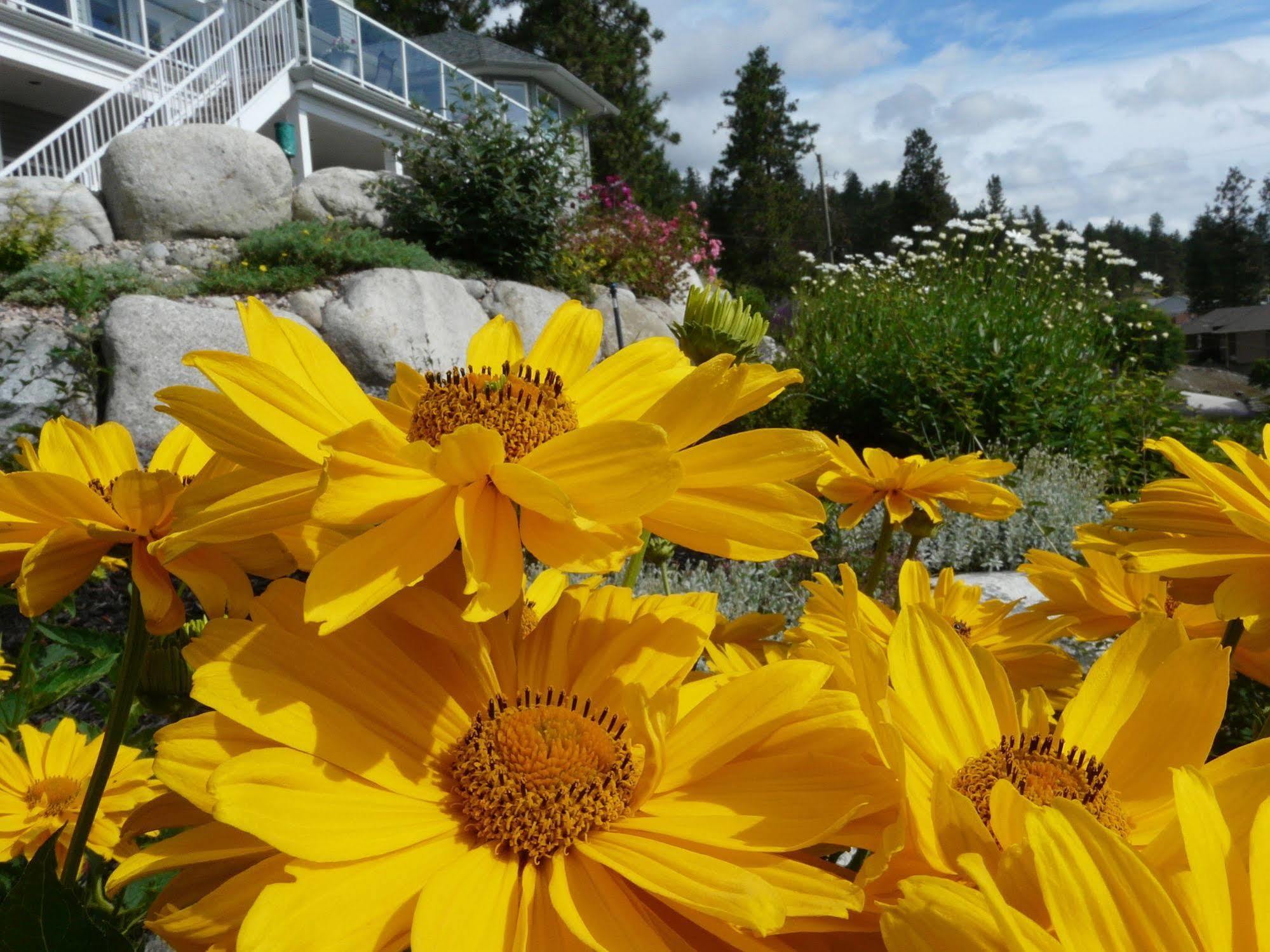 Heartstone B&B Peachland Dış mekan fotoğraf